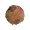 Natural Sal Leaf Plate ( khali) | From shri jagannath dham , puri - Image 2