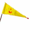 Sun-Moon Flag From Shrikhetra Dham | From shri jagannath dham , puri - Image 2