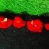 Premium cold day dress( 11parts of the dress) | From shri jagannath dham , puri - Image 6