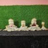Monday Traditional Dress (11parts of the dress) | From shri jagannath dham , puri