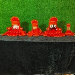 Premium Sunday traditional dress (11parts of the dress) | From shri jagannath dham , puri
