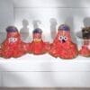 Divya Ranjan dress (14 parts of the dress) | From shri jagannath dham , puri