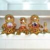 Shivani Dress (15 Parts) | From shri jagannath dham , puri