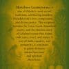 Manabasa Laxmipurana:The Sacred Story of Lakshmi's Vrata (E-Book): Sacred E-Book for Jagannath Seva | From shri jagannath dham , puri - Image 2