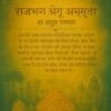 Shri Jagannath Ji’s Mahaprasad: Rajbhog Tradition HINDI (E-Book): Hindi Devotional Reading Edition | From shri jagannath dham , puri - Image 2